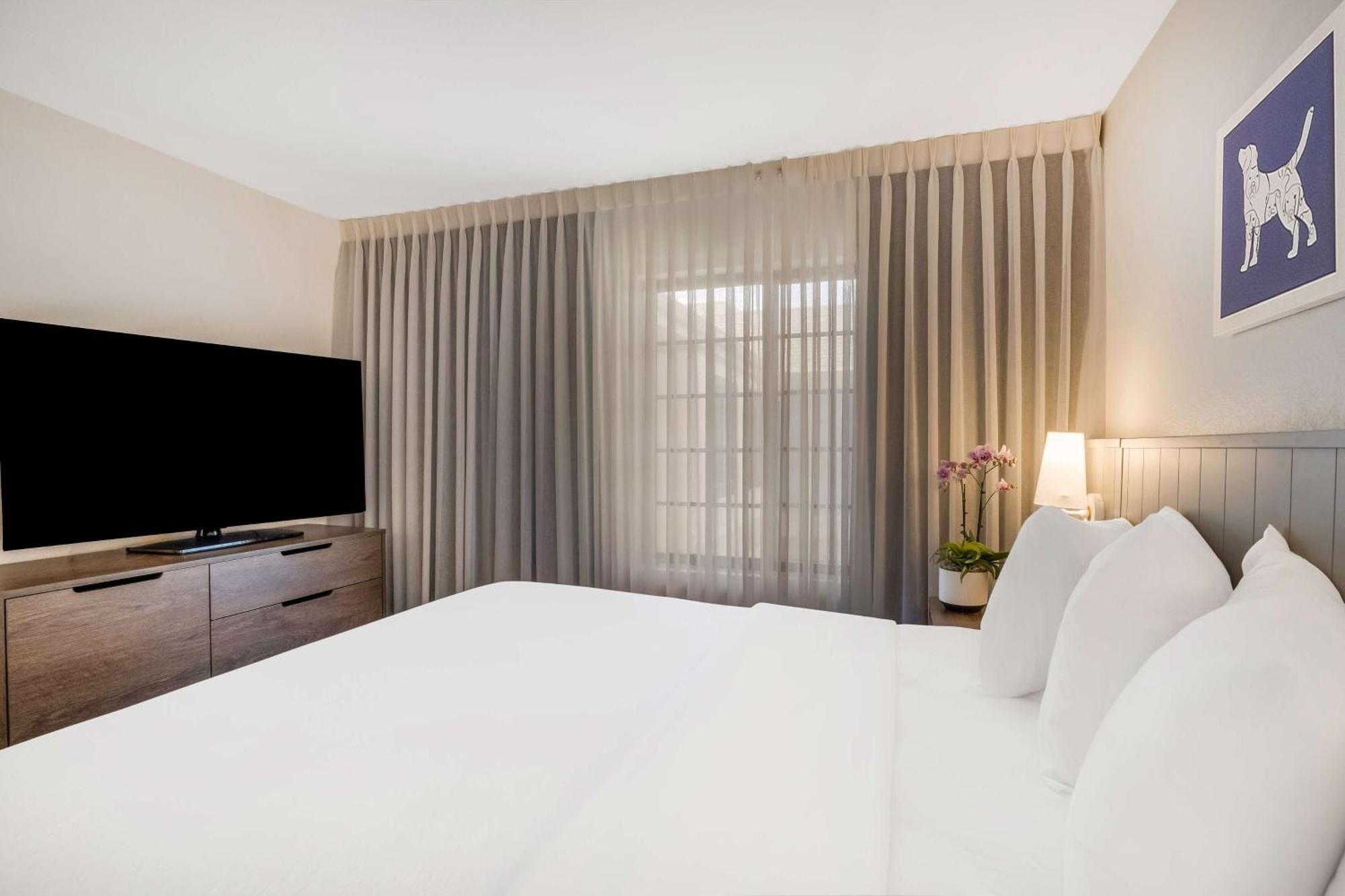 Sonesta Es Suites San Jose - Airport Экстерьер фото
